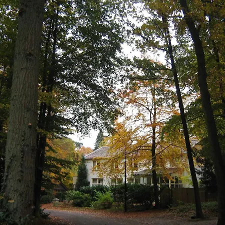 Bed & Breakfast In De Aap Gelogeerd *