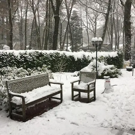 In De Aap Gelogeerd Bed & Breakfast Apeldoorn