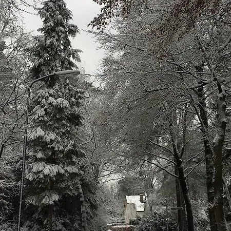 Πανσιόν In De Aap Gelogeerd