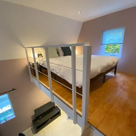 Bed & Breakfast In De Aap Gelogeerd *