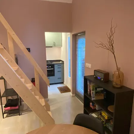 In De Aap Gelogeerd 3*