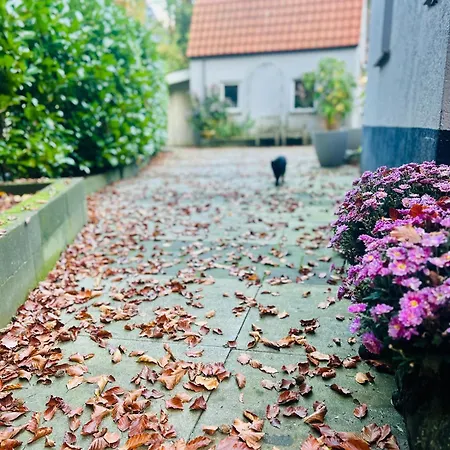 In De Aap Gelogeerd Apeldoorn