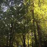 In De Aap Gelogeerd Apeldoorn
