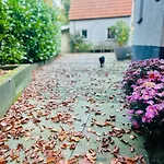 In De Aap Gelogeerd Apeldoorn