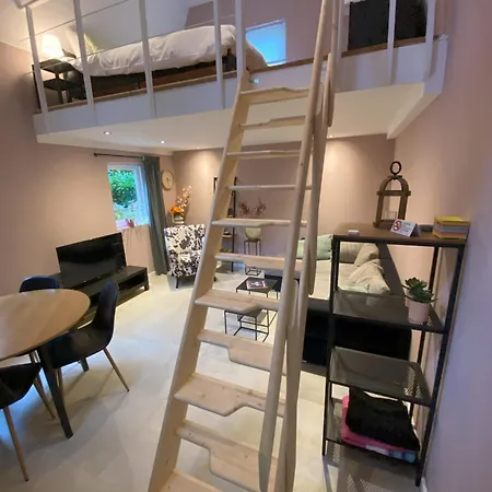 In De Aap Gelogeerd 3* Apeldoorn