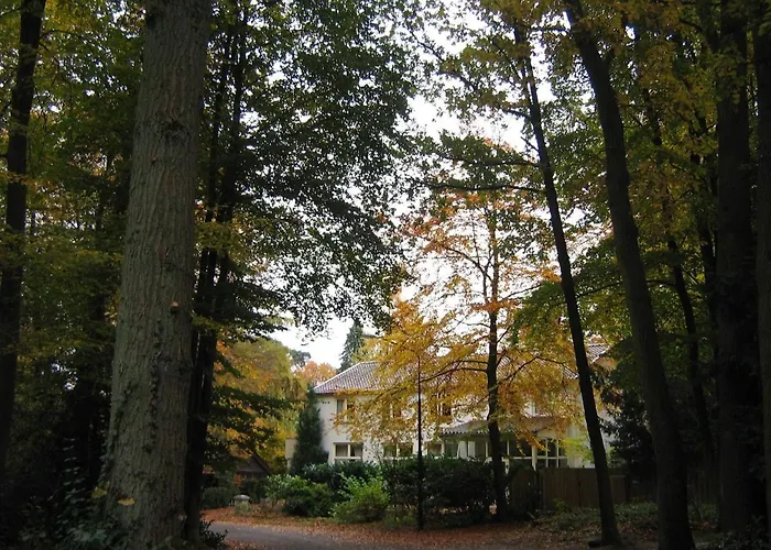 Konukevi In De Aap Gelogeerd 3*