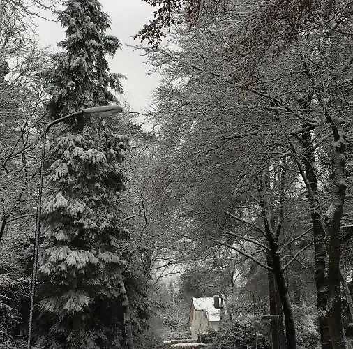 Konukevi In De Aap Gelogeerd