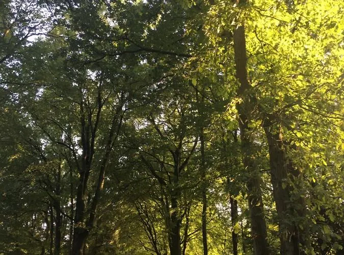 In De Aap Gelogeerd Apeldoorn