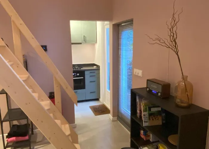 In De Aap Gelogeerd 3*