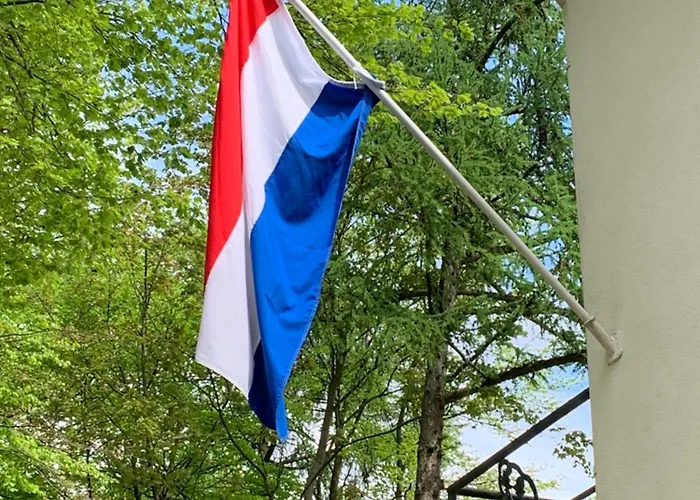 In De Aap Gelogeerd 3*