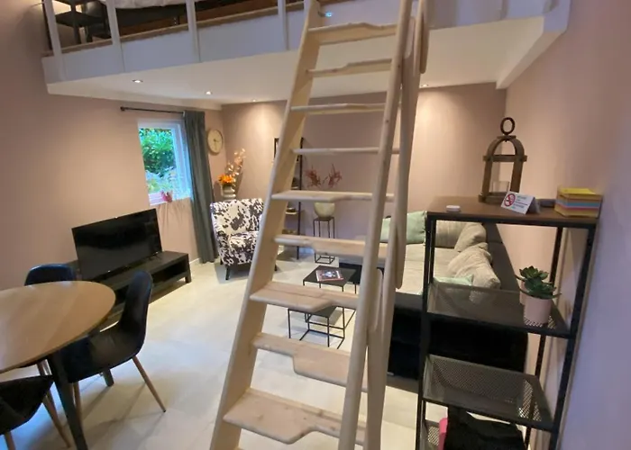 In De Aap Gelogeerd 3* Apeldoorn