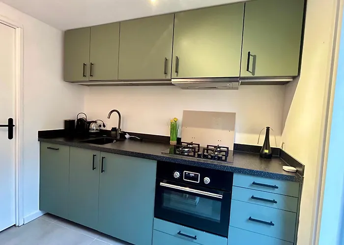 Konukevi In De Aap Gelogeerd