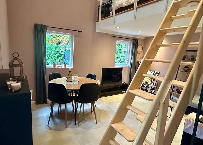 In De Aap Gelogeerd Konukevi Apeldoorn