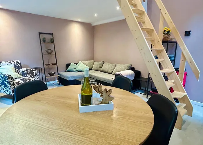 Konukevi In De Aap Gelogeerd Apeldoorn