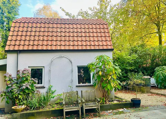 In De Aap Gelogeerd 3*