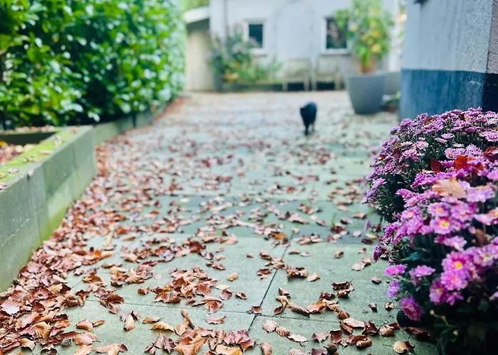 In De Aap Gelogeerd Apeldoorn